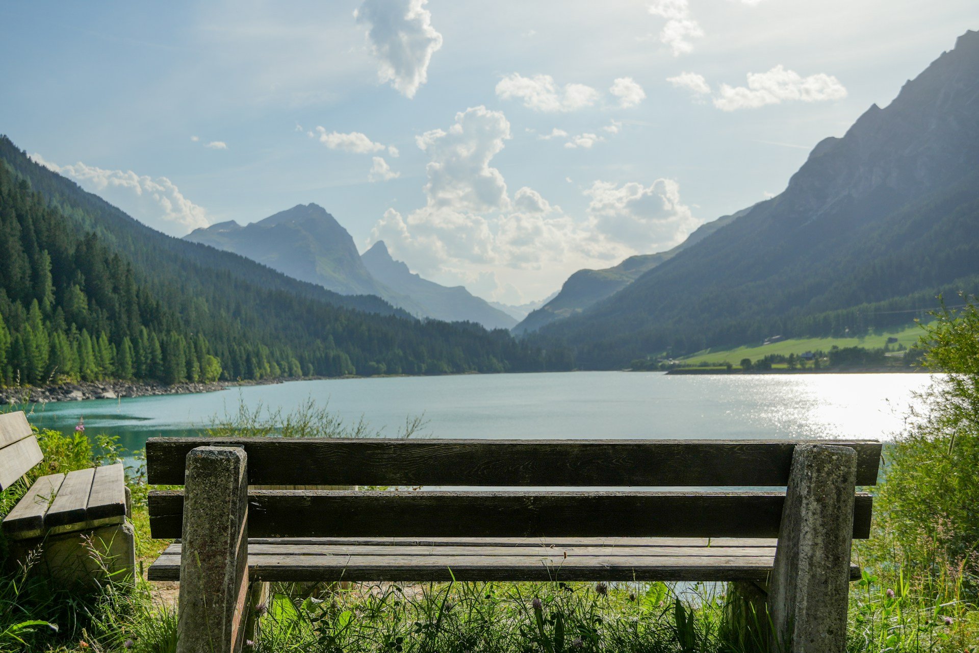 daniel-diemer-_UAXc9nVbow-unsplash