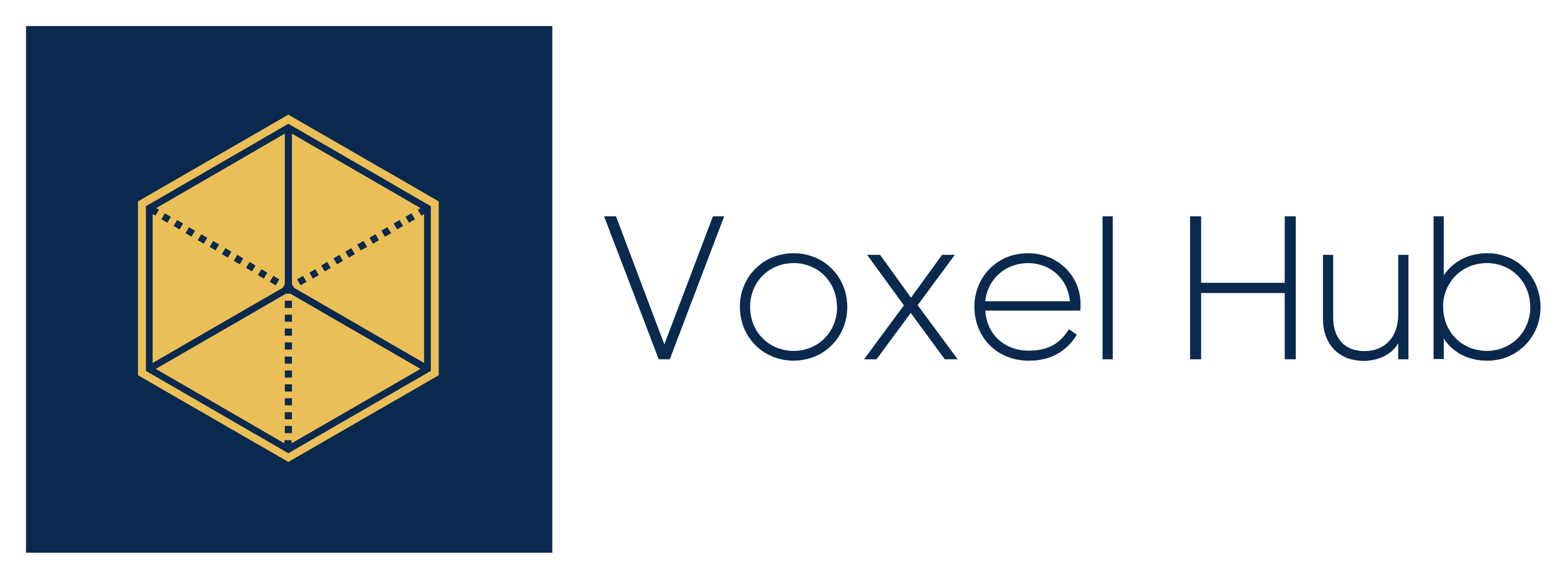 Voxel Hub