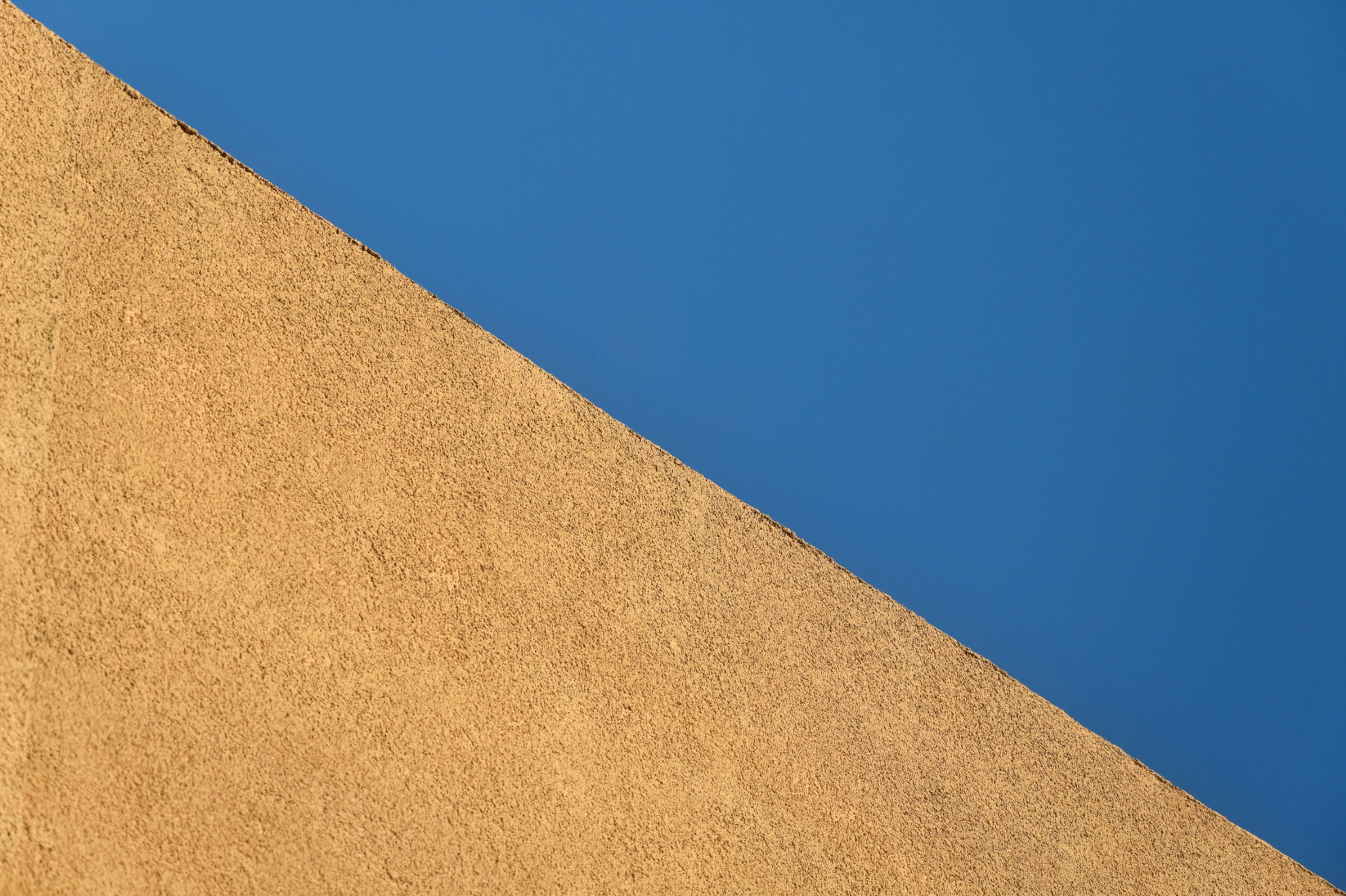 camel and blue background