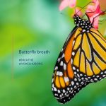 Butterfly breath