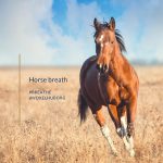 Horse breath