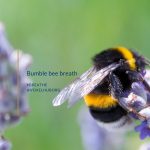 Bumble bee breath