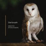 Owl breath