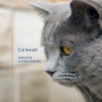 Cat breath