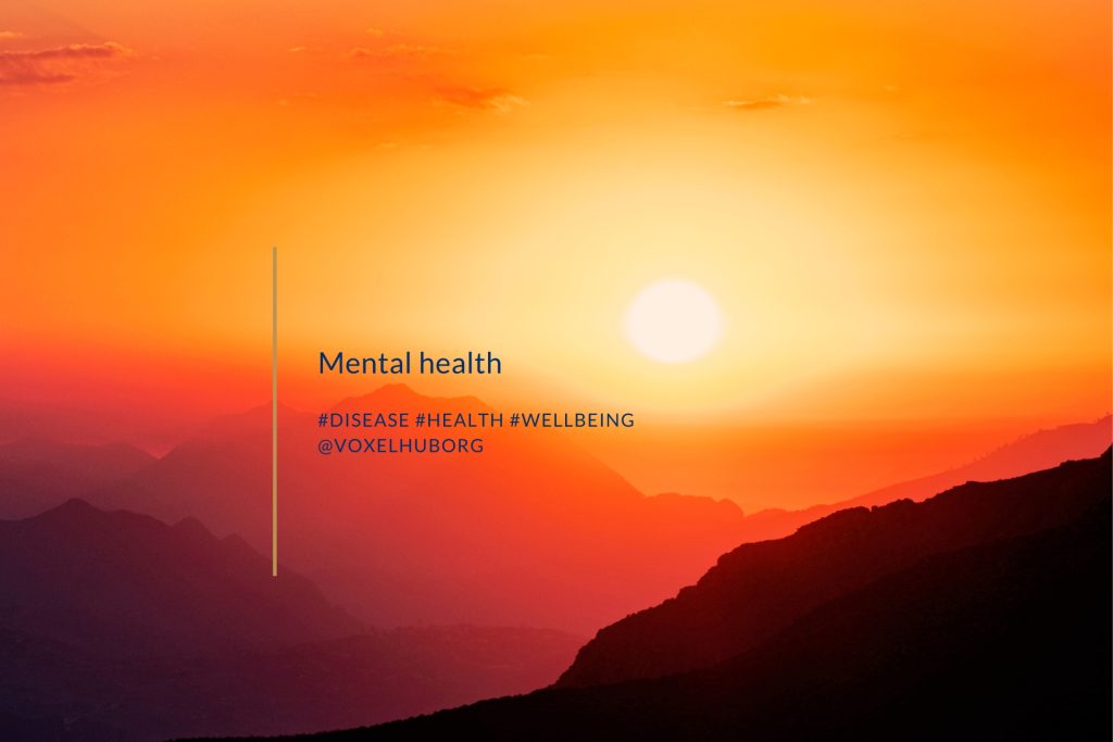 What Is Mental Health Voxel Hub what-is-mental-health-voxel-hub