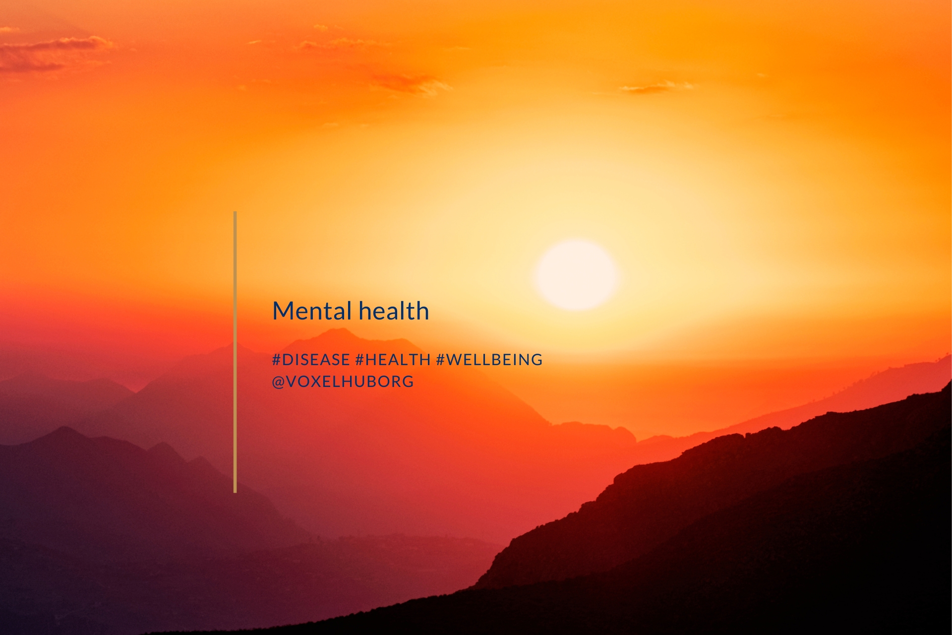 What Is Mental Health Voxel Hub