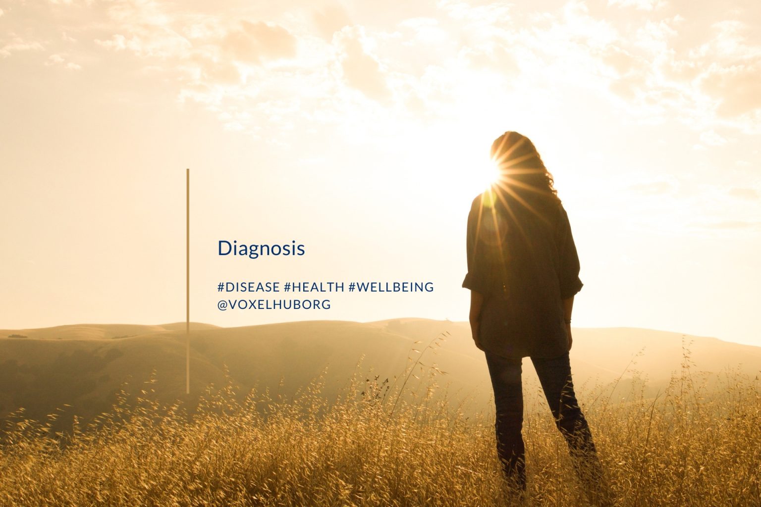 what-is-diagnosis-voxel-hub