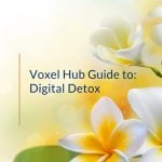 Voxel Hub Guide to Digital Detox