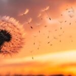 On the importance of community dreaming